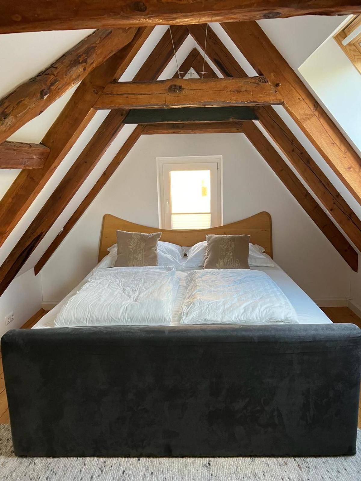 Haus Am Berzdorfer See - 3 Schlafzimmer - Ganzes Haus Zur Alleinnutzung - Terrasse - Hochwertige Ausstattung กอร์ลิตซ์ ภายนอก รูปภาพ