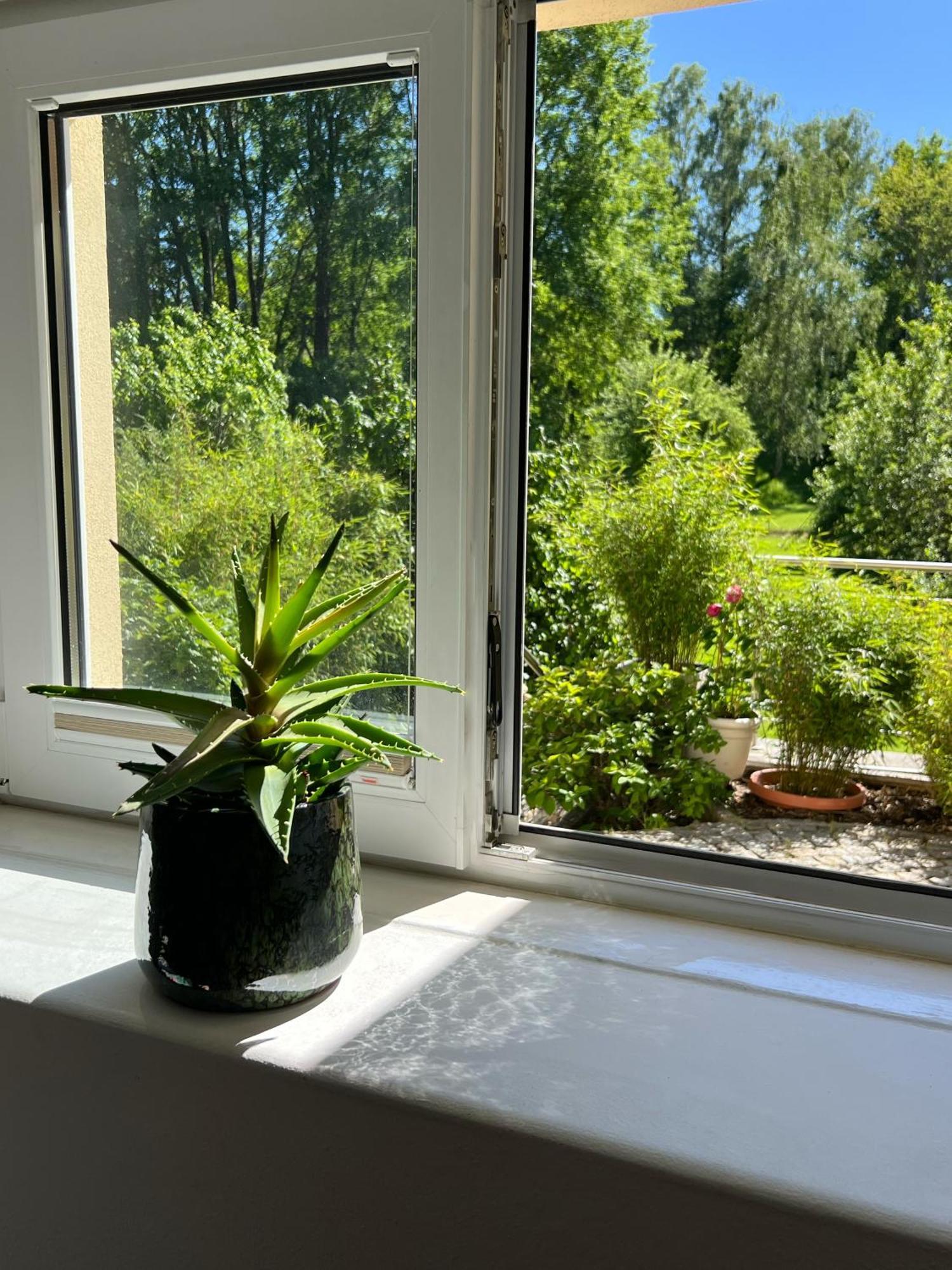Haus Am Berzdorfer See - 3 Schlafzimmer - Ganzes Haus Zur Alleinnutzung - Terrasse - Hochwertige Ausstattung กอร์ลิตซ์ ภายนอก รูปภาพ